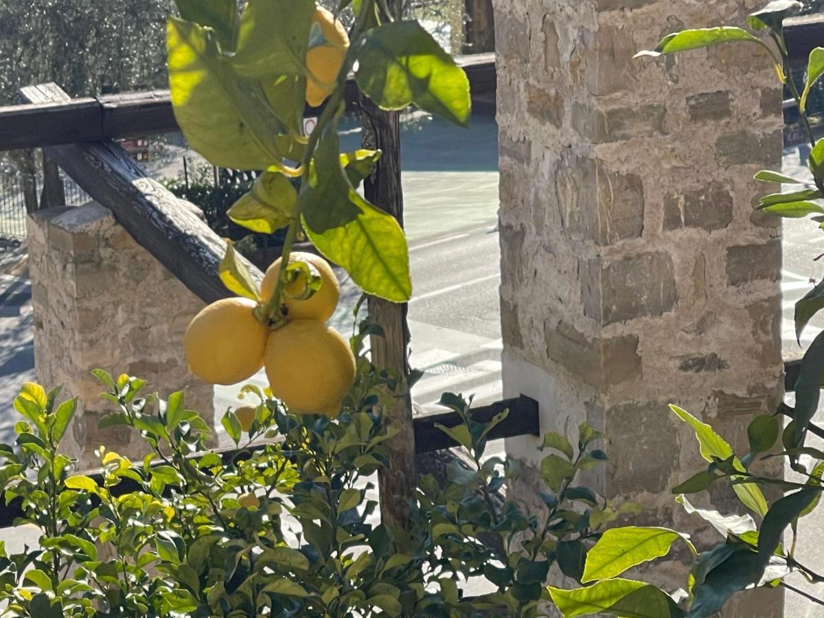 B&B Casa Limone ลีโมเนซุลการ์ดา ภายนอก รูปภาพ