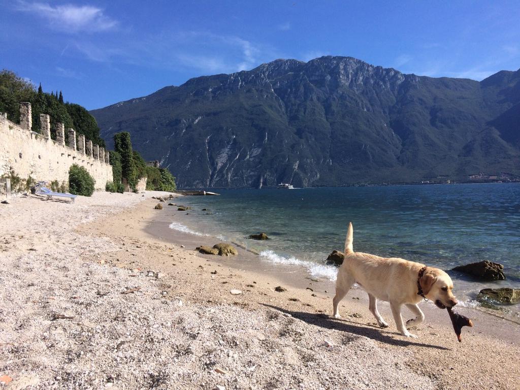 B&B Casa Limone ลีโมเนซุลการ์ดา ภายนอก รูปภาพ